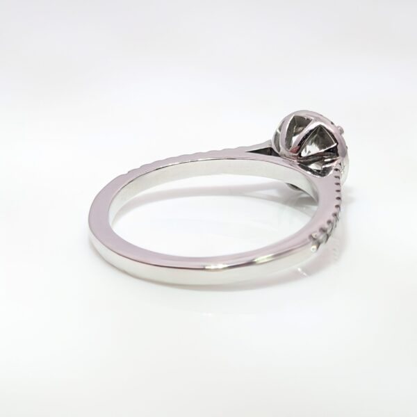 Discover our 0.77ct Platinum Round Brilliant Cut Diamond Halo Engagement Ring. With a Centre Diamond of 0.45ct and outer Diamond Total Weight 0.32ct. Colour G Clarity SI. Find out more about our ethical jewellery campaign.