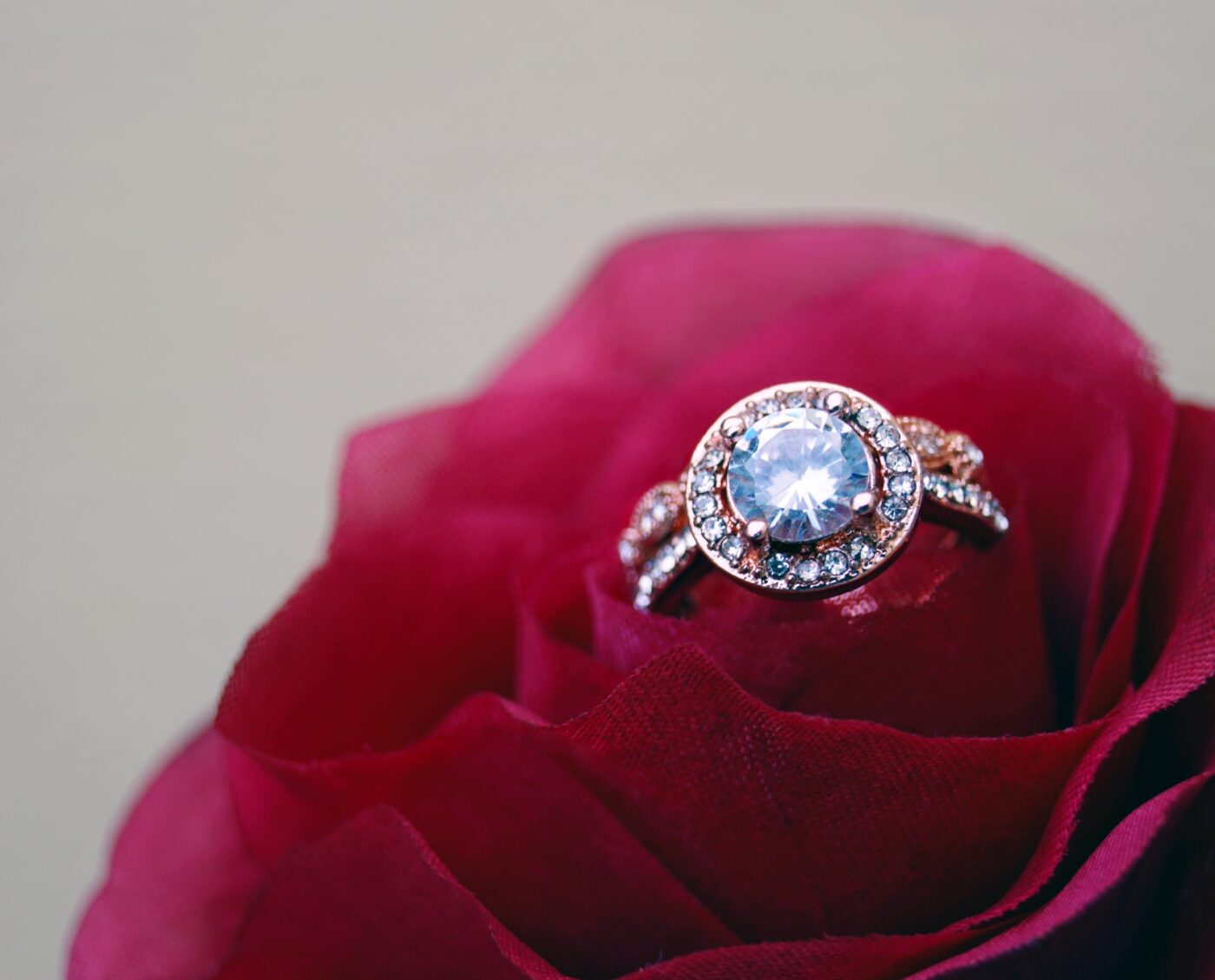 valentine's ring on rose